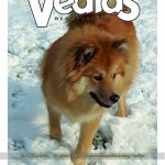 Vedias-BeroepsINFO-1-2017-150x150